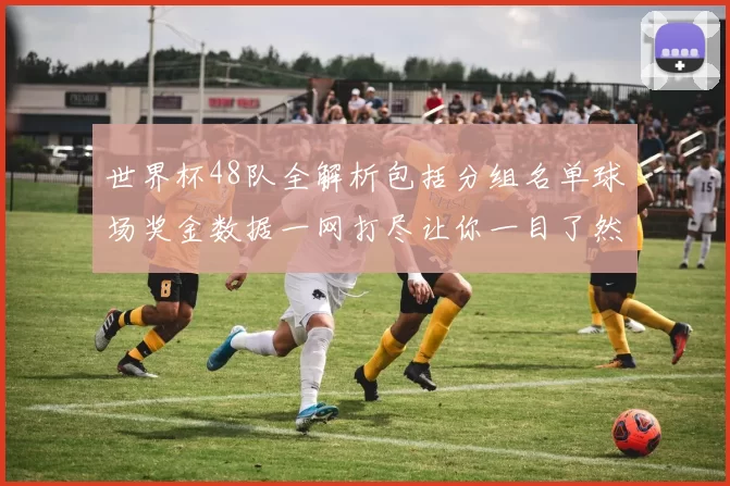 世界杯48队全解析包括分组名单球场奖金数据一网打尽让你一目了然