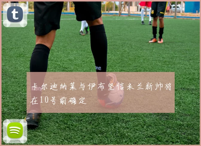 卡尔迪纳莱与伊布坚信米兰新帅将在10号前确定